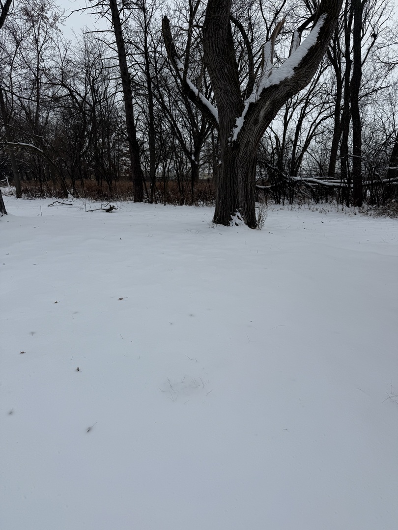 19611 Crawford Avenue, Flossmoor, IL 60422