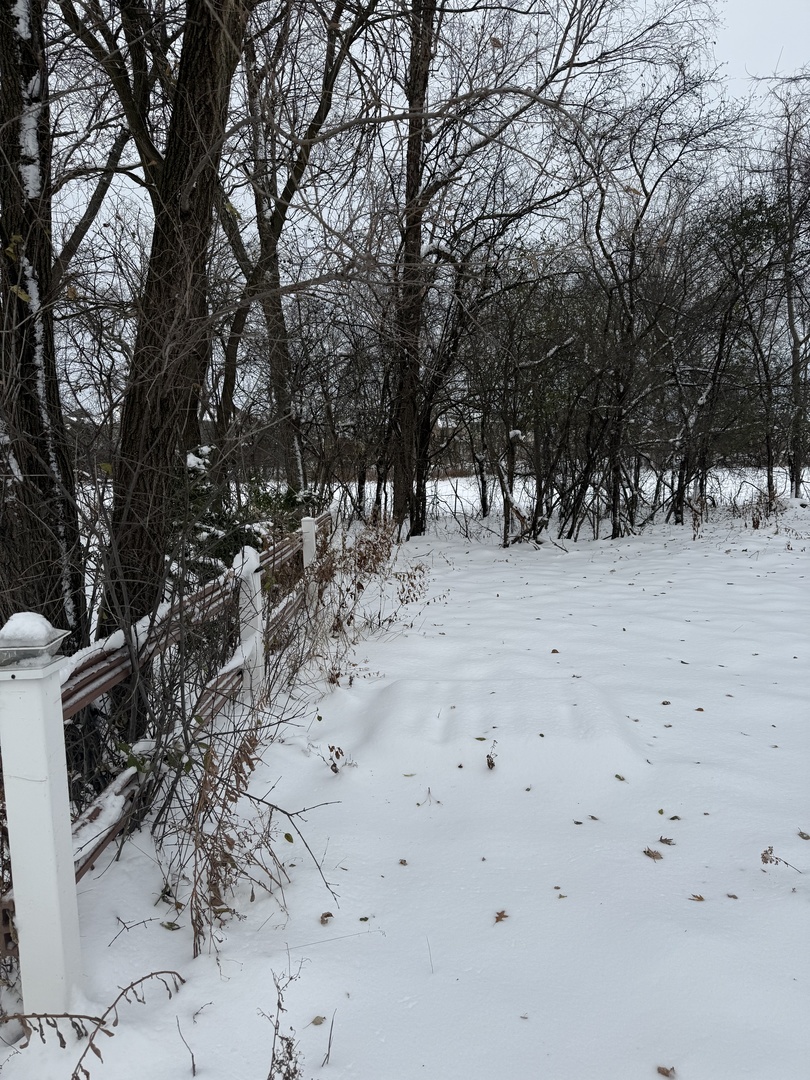 19611 Crawford Avenue, Flossmoor, IL 60422