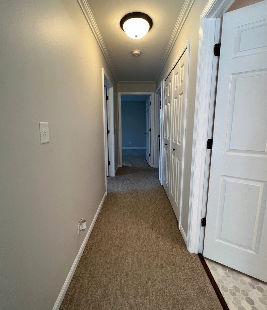 211 E Ashbury Lane #7, Roselle, IL 60172