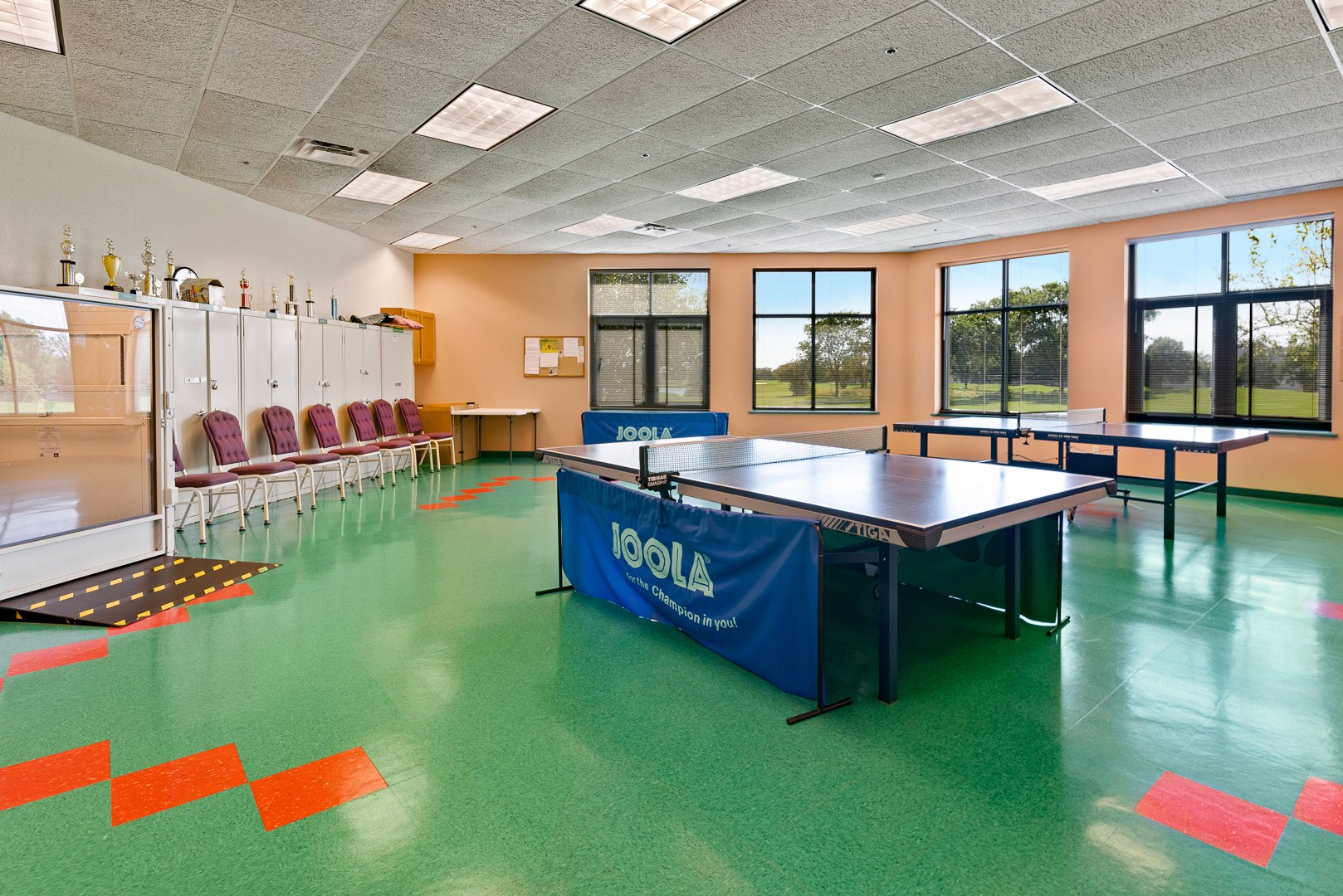 21314 W Crimson Court, Plainfield, IL 60544