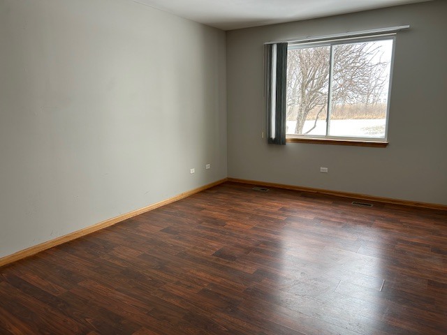 21314 W Crimson Court, Plainfield, IL 60544