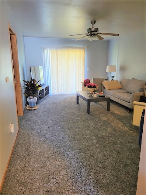 1000 Bratton Avenue #4, Marseilles, IL 61341