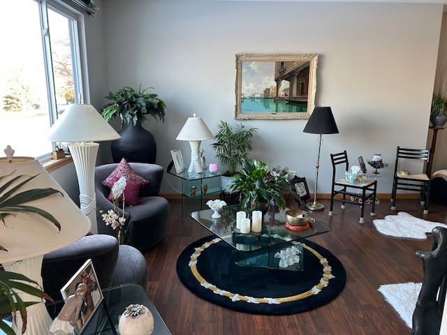 21314 W Crimson Court, Plainfield, IL 60544