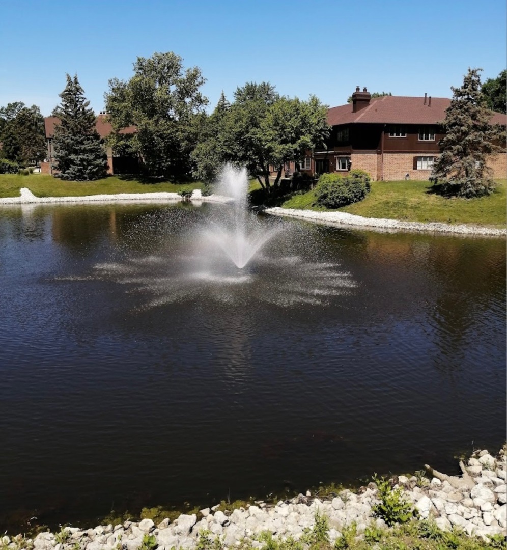 13458 S Westview Drive #V4, Palos Heights, IL 60463