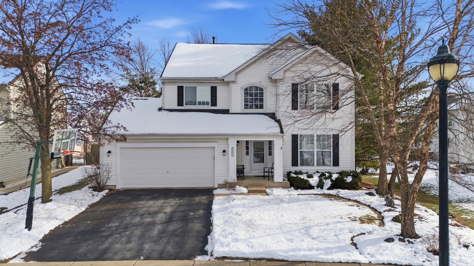 213 Switchgrass Drive, Round Lake, IL 60073