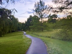 1516 CAMDEN Court #A1, Wheeling, IL 60090