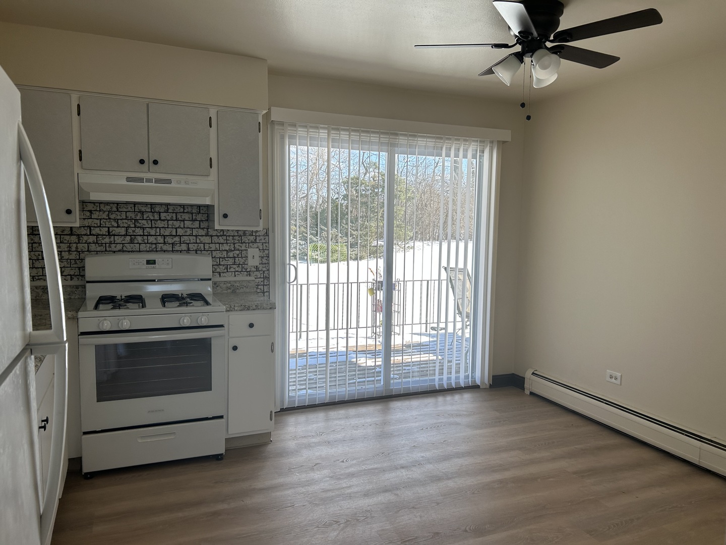 1135 ROYAL Boulevard #2N, Elgin, IL 60123