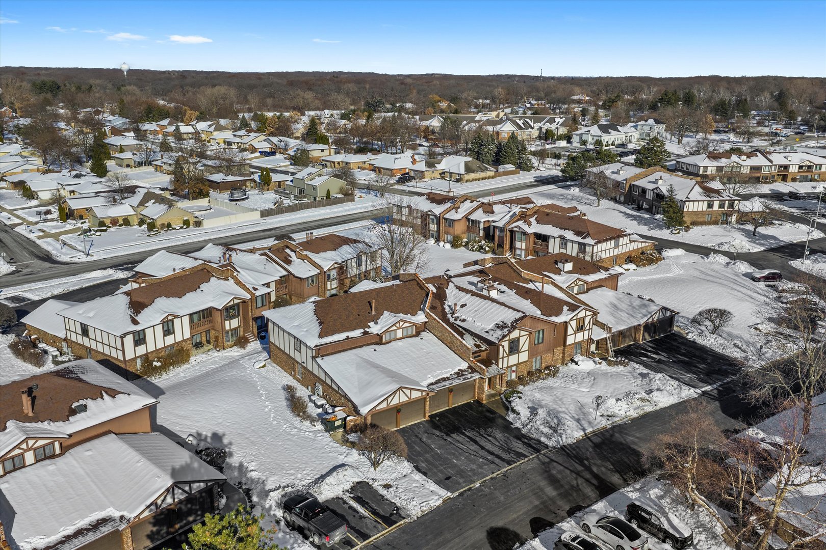 9748 Mill Drive #2E, Palos Park, IL 60464