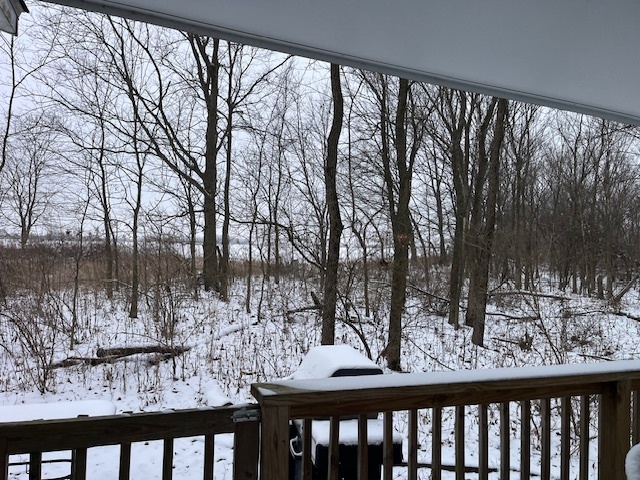 2795 E 28th Lot 1377 Road, Seneca, IL 61360