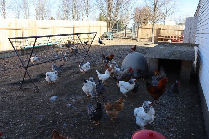 519 W 650 S, Hebron, IN 46341