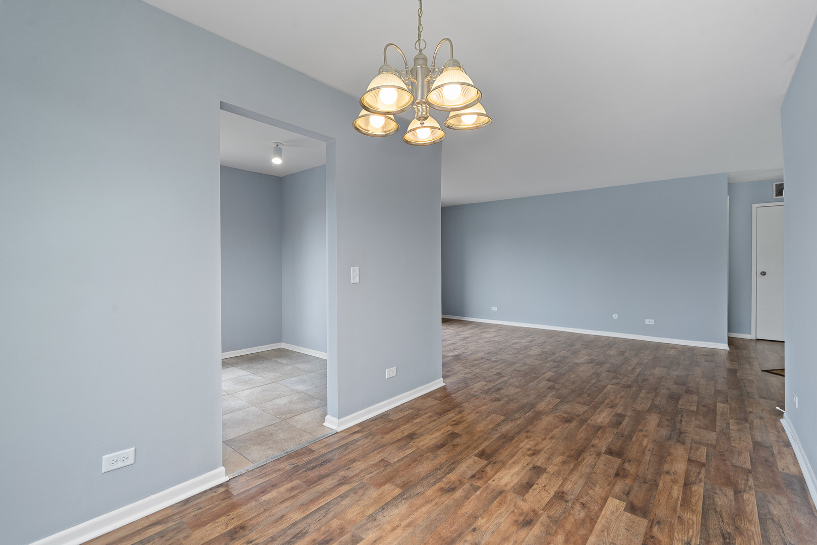 1535 RAYMOND Drive #202, Naperville, IL 60563