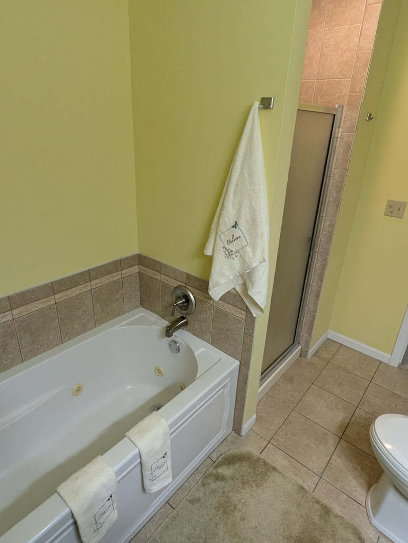 24031 S Cardinal Drive, Channahon, IL 60410