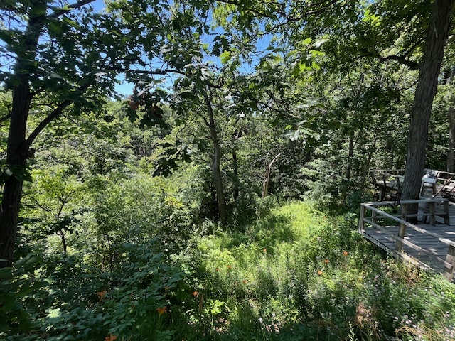 2795 E 28th Lot 141 Road, Seneca, IL 61360