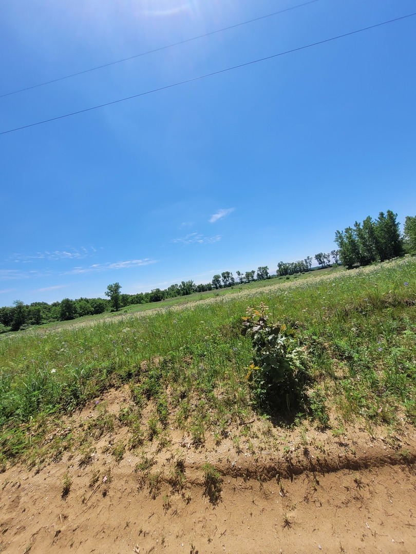 16326 6000 Road, Pembroke Twp, IL 60958