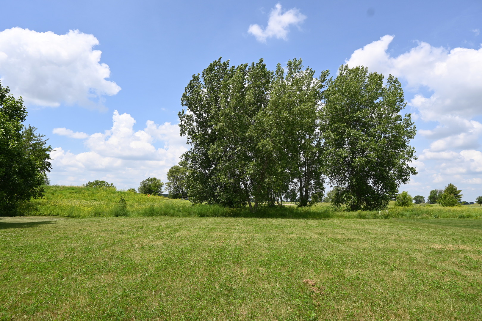 3900 W Nettle Creek Drive, Morris, IL 60450