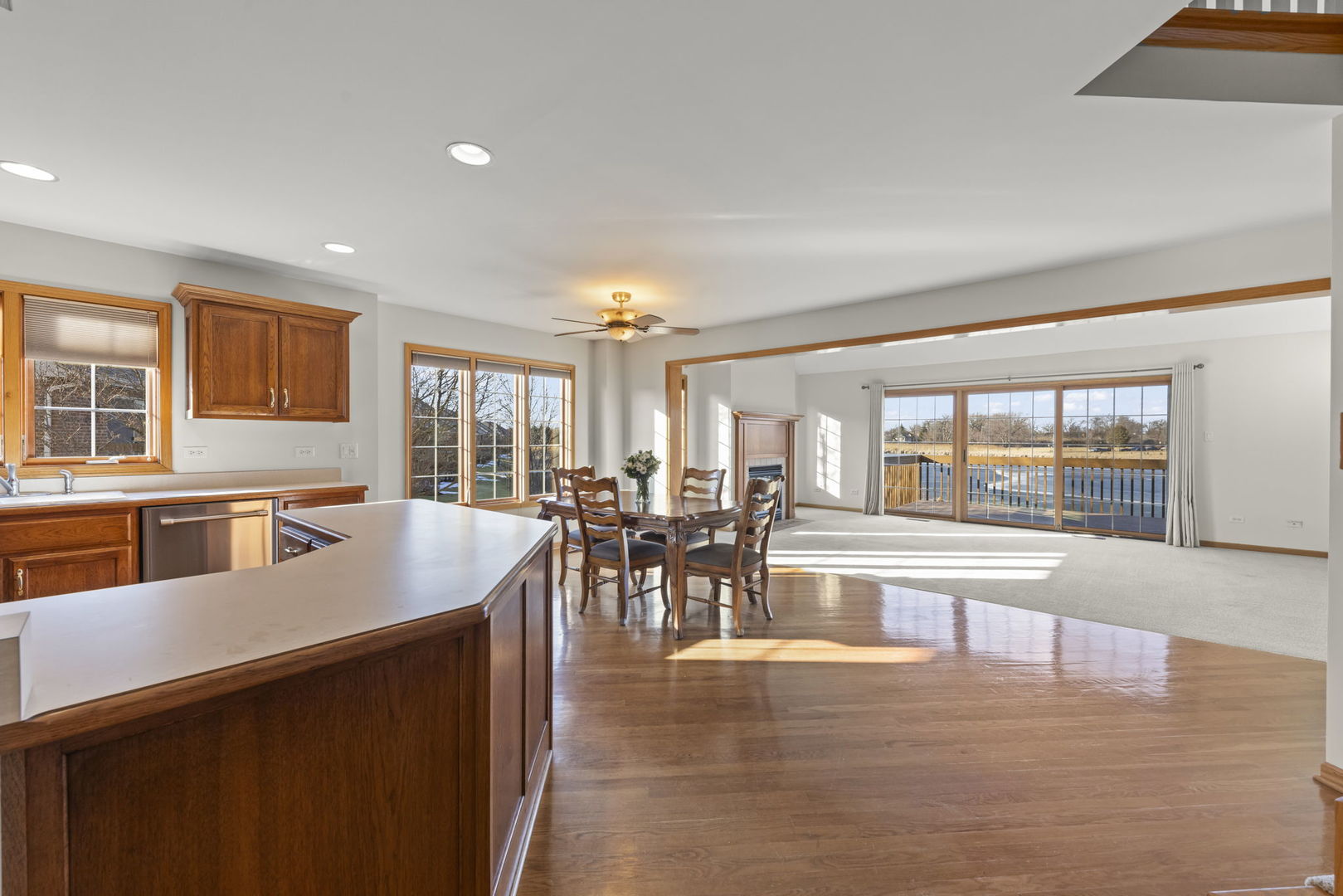 12198 Oxford Court, Lemont, IL 60439