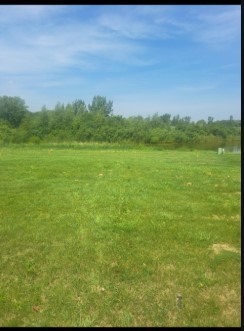 6704 Bridle Path Drive, Matteson, IL 60443