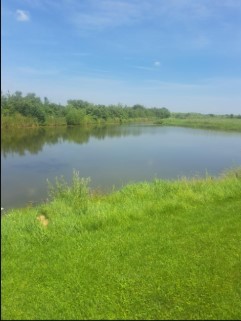 6704 Bridle Path Drive, Matteson, IL 60443