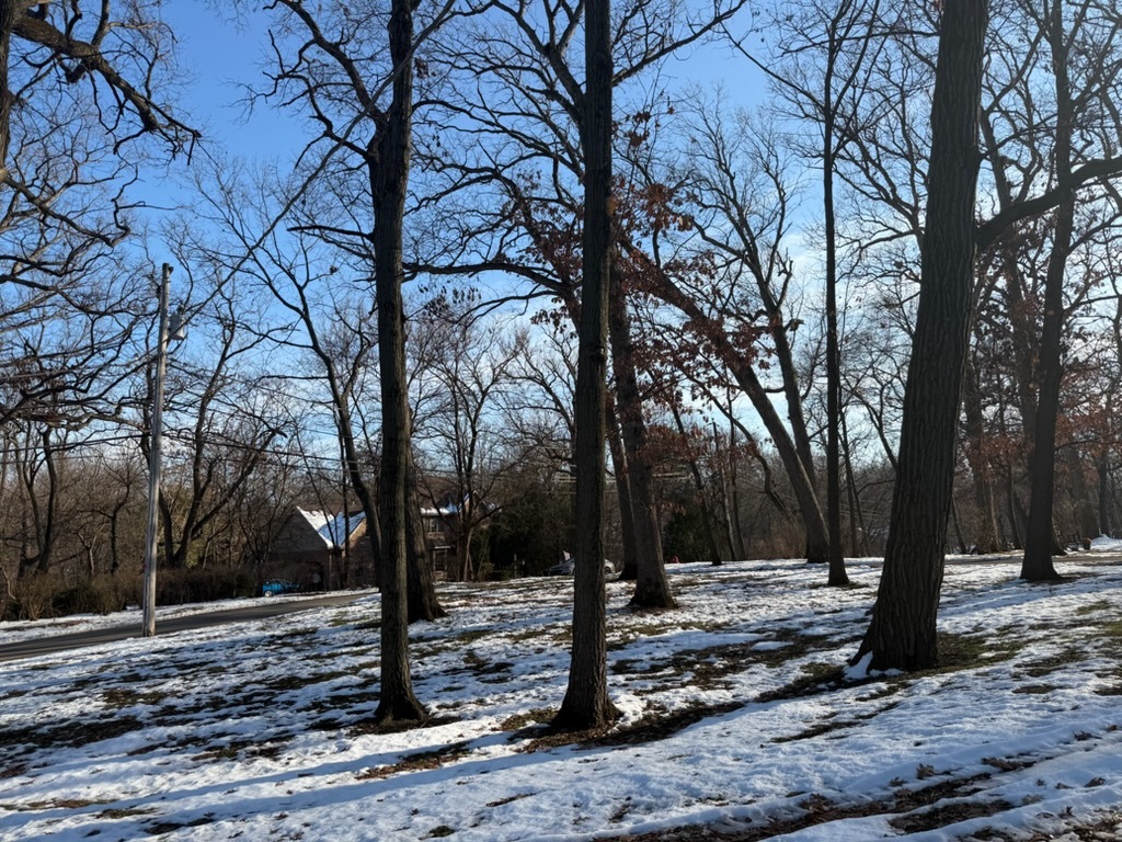 12316 S 82nd Avenue, Palos Park, IL 60464