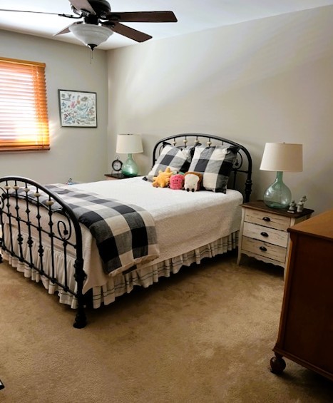 19838 Patricia Lane, Mokena, IL 60448