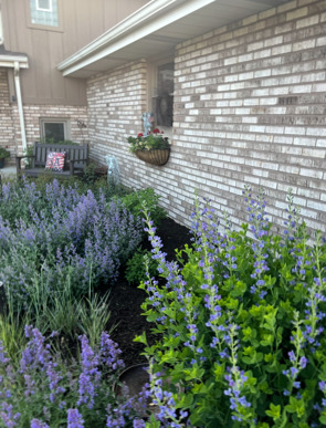 19838 Patricia Lane, Mokena, IL 60448