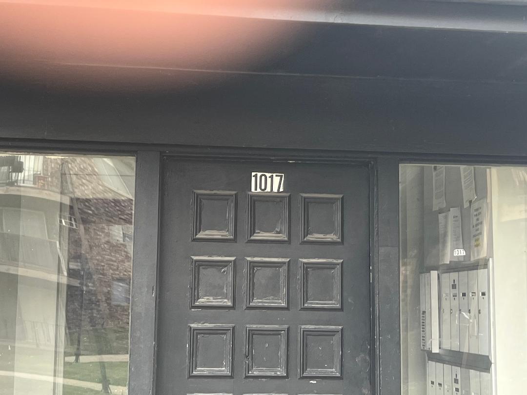 1017 E 194th Street, Glenwood, IL 60425