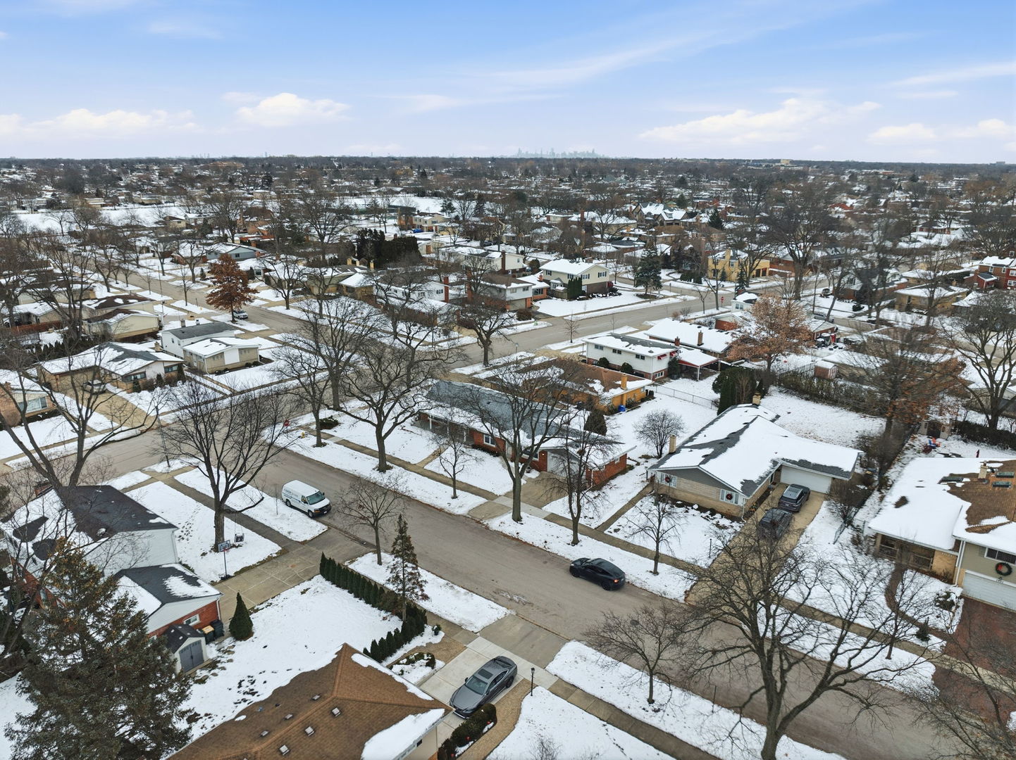 1220 N Hamlin Avenue, Park Ridge, IL 60068