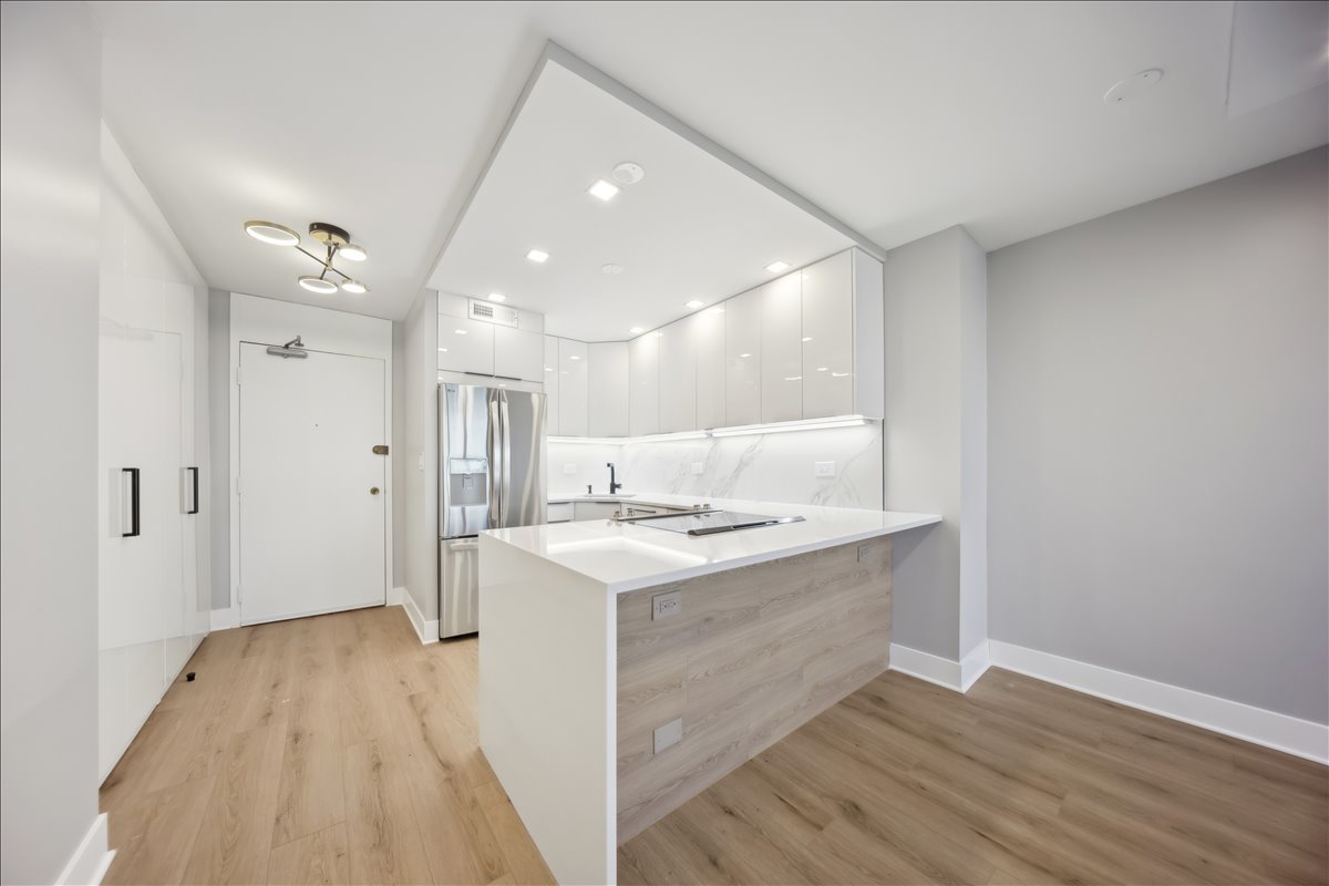 88 W Schiller Street #2107L, Chicago, IL 60610