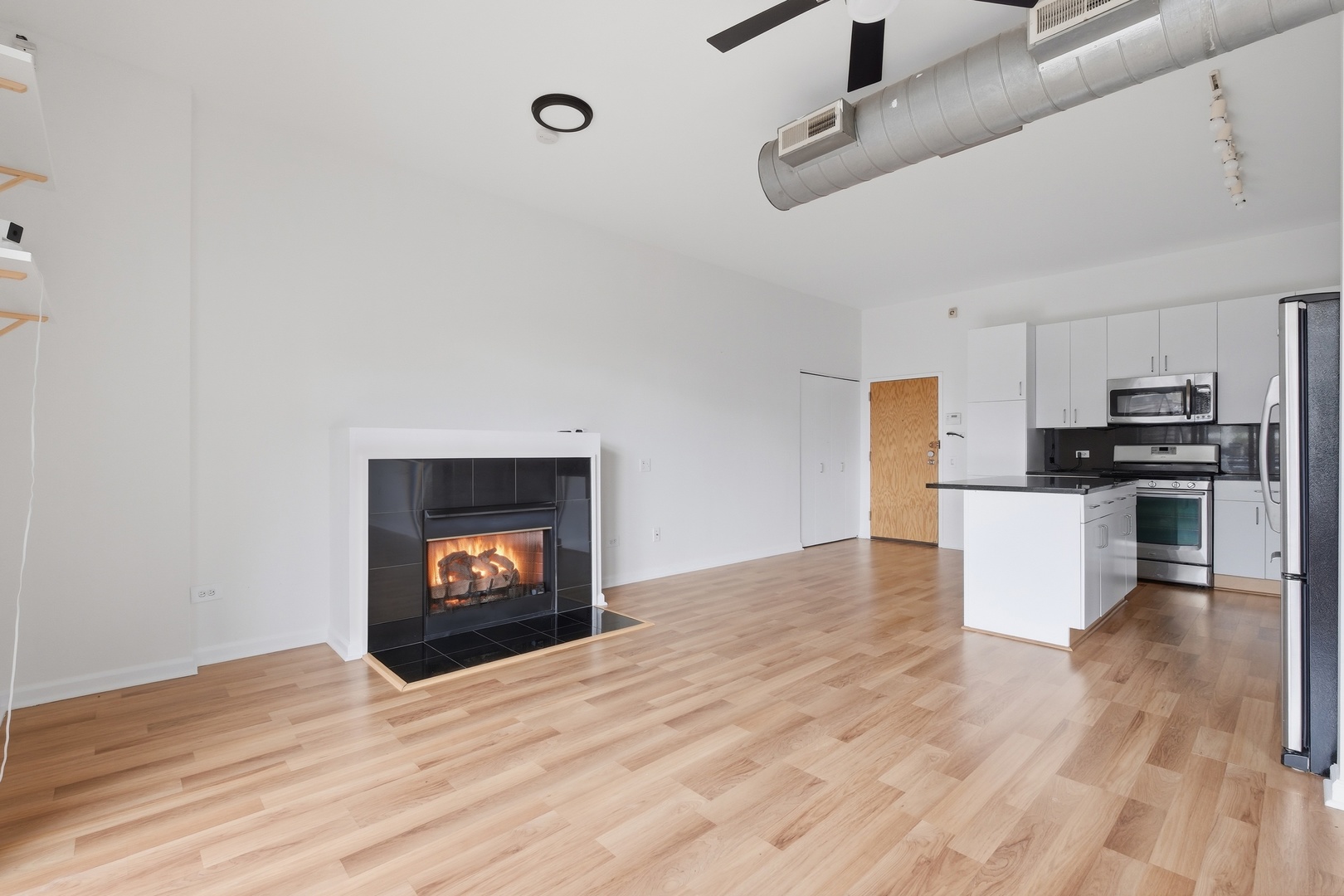 1631 S Michigan Avenue #401, Chicago, IL 60616