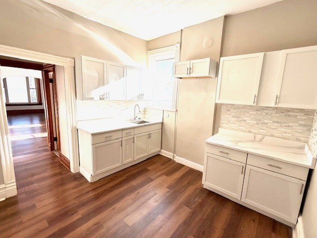 2142 S Trumbull Avenue, Chicago, IL 60623