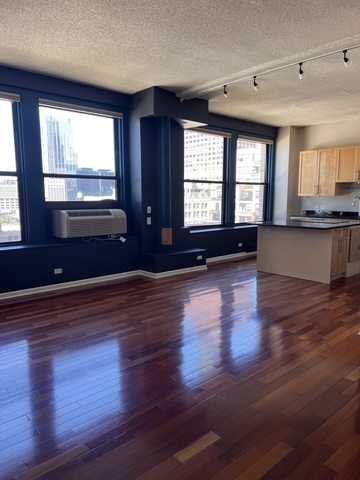 600 S Dearborn Street #1209, Chicago, IL 60605