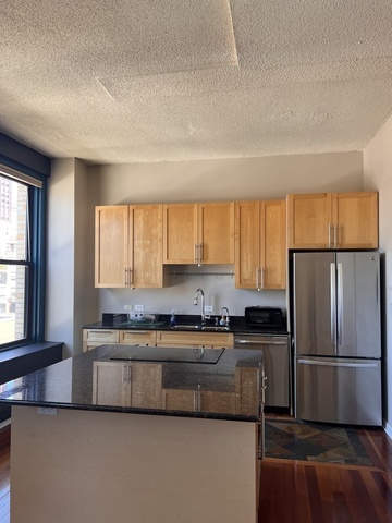 600 S Dearborn Street #1209, Chicago, IL 60605