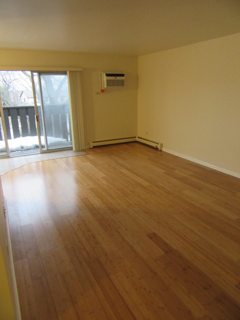 135 Pickwick Drive #E, Schaumburg, IL 60193