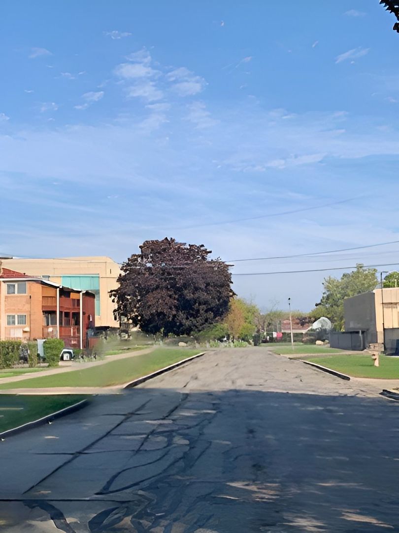 1016 S 14th Avenue, Maywood, IL 60153