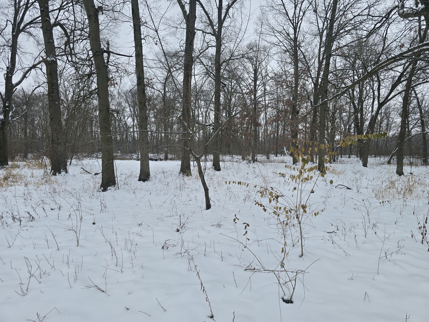 3100 N 17060 Road, Momence, IL 60954