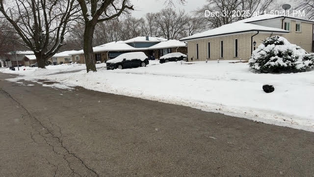 625 E 173rd Street, South Holland, IL 60473
