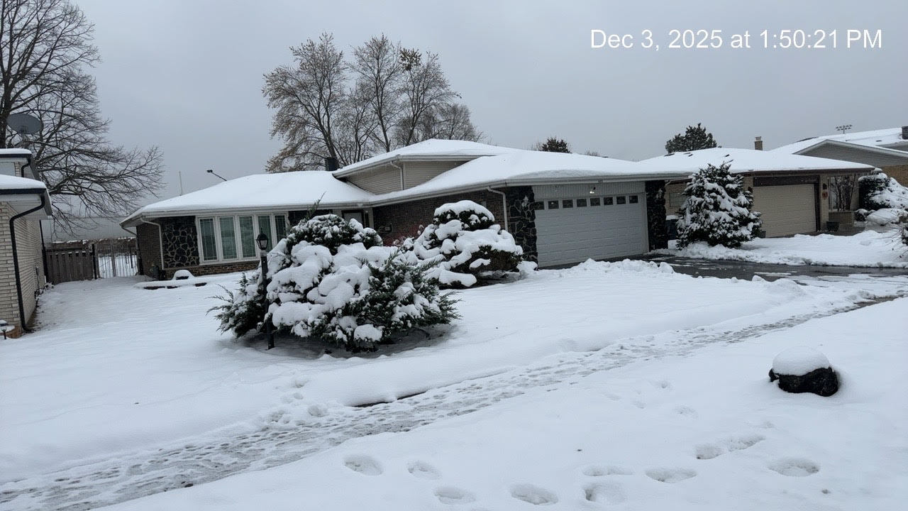 625 E 173rd Street, South Holland, IL 60473