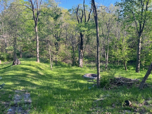 2795 E 28th Lots 85 & 86 Road, Seneca, IL 61360