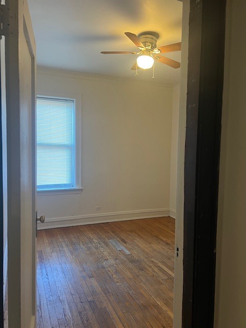 8116 S Ingleside Avenue #1, Chicago, IL 60619