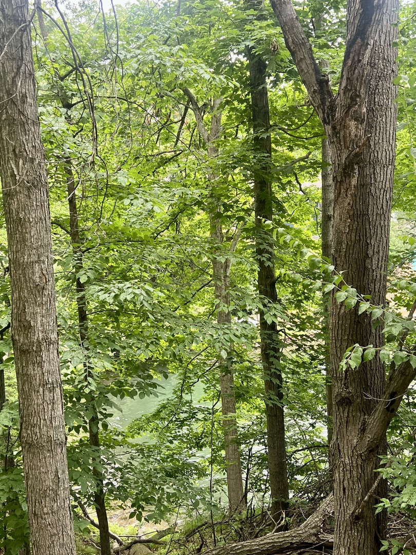 498 Driftwood Court, Varna, IL 61375