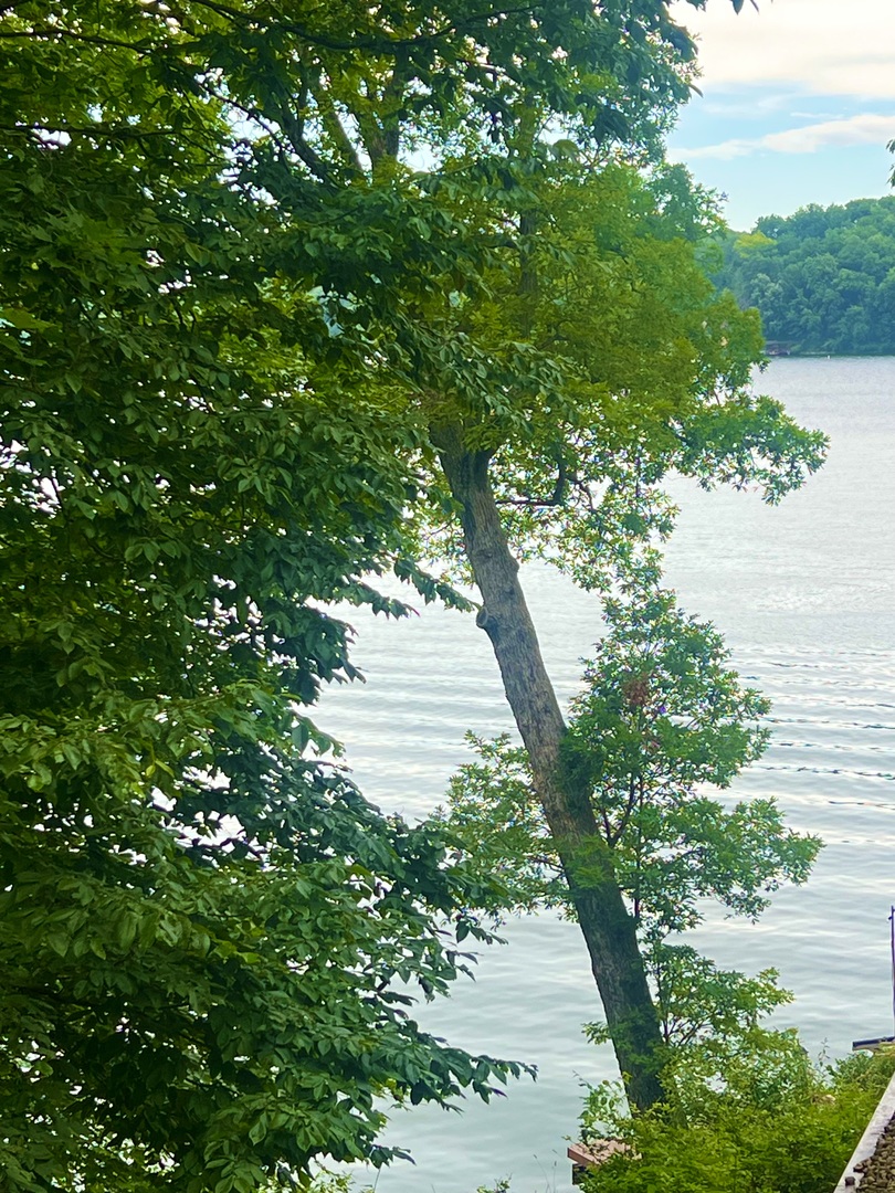 498 Driftwood Court, Varna, IL 61375