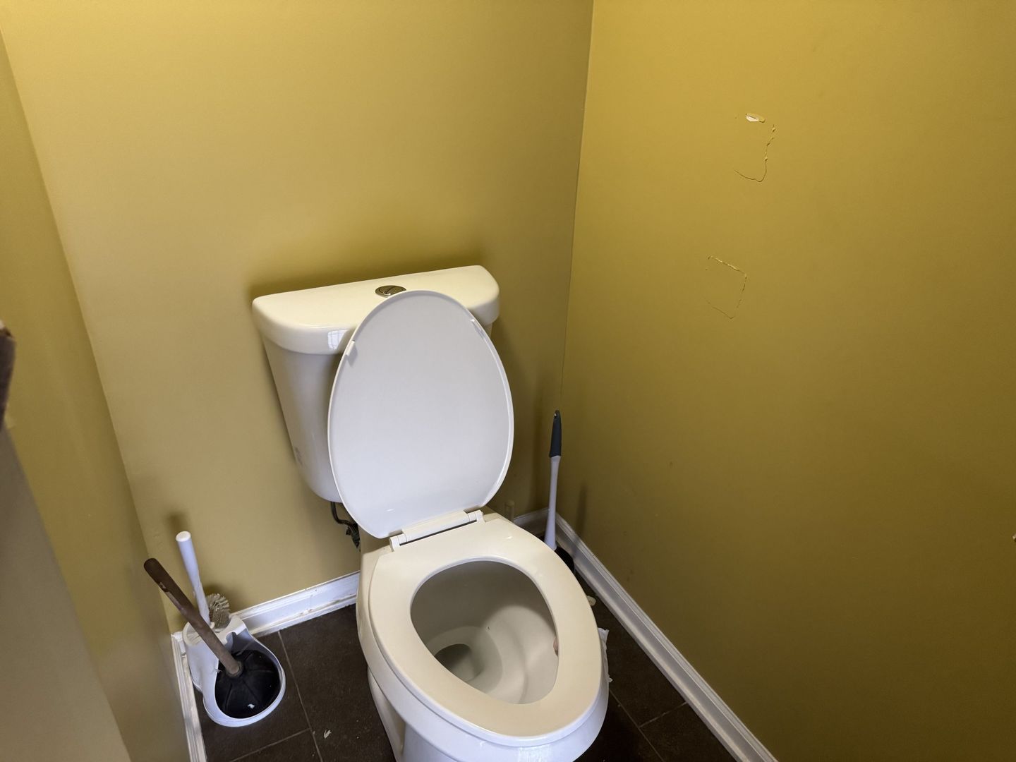 4519 W Lake Street, Chicago, IL 60624