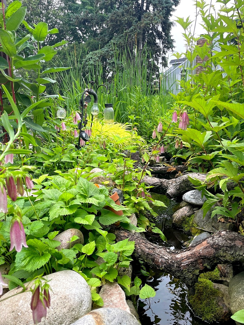 1203 Redfield Road, Naperville, IL 60563