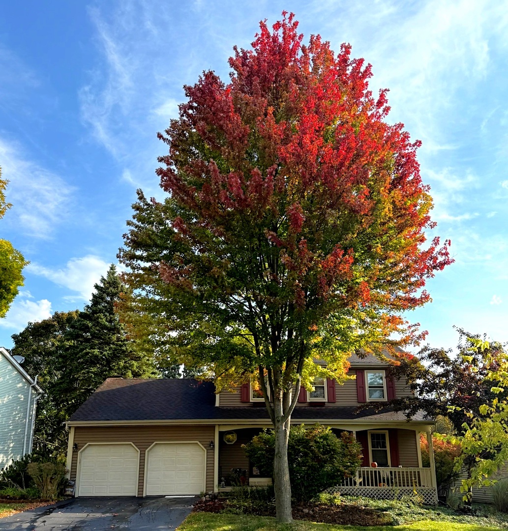 1203 Redfield Road, Naperville, IL 60563