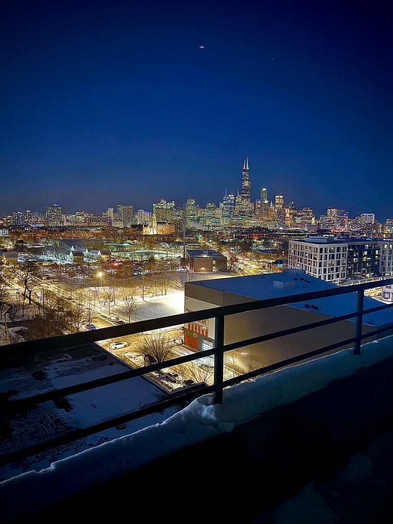 1550 S Blue Island Avenue #1107, Chicago, IL 60608