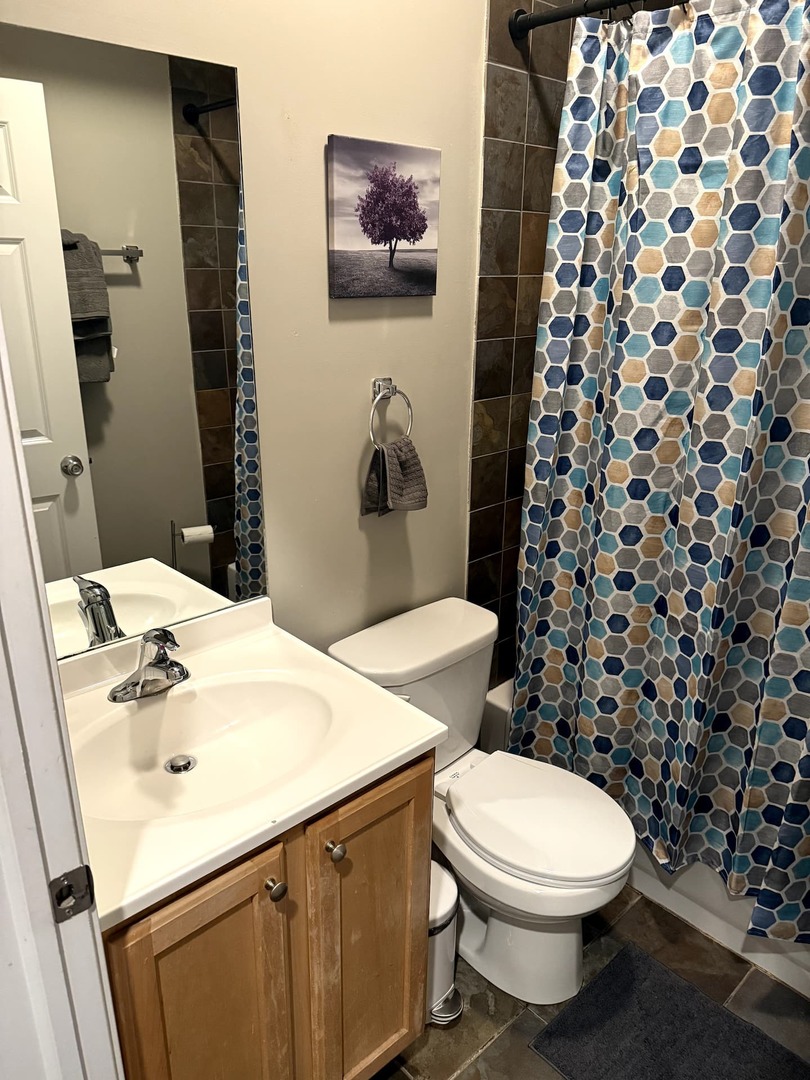 1730 W Beach Avenue #2, Chicago, IL 60622