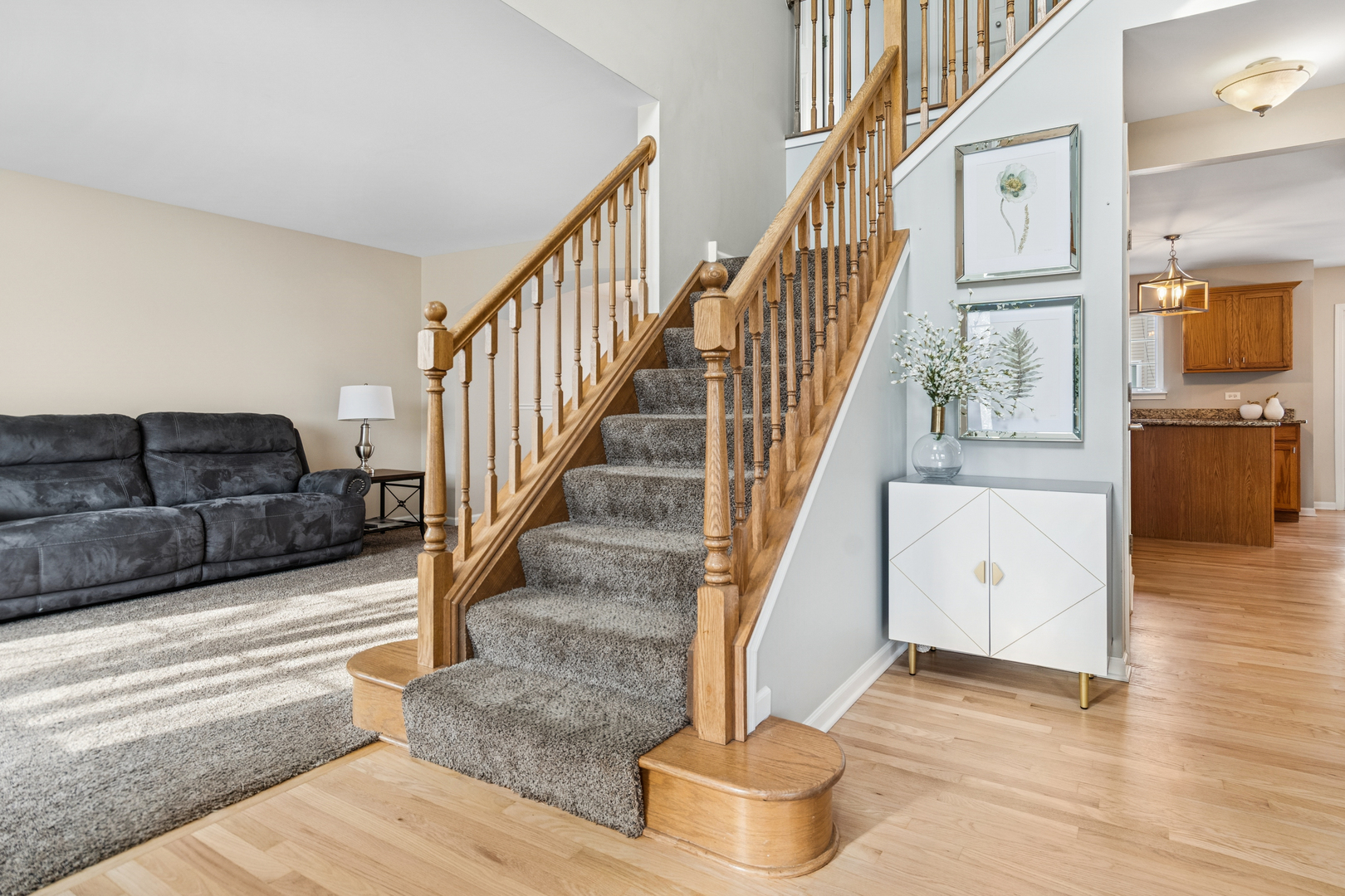 23716 Tall Grass Drive, Plainfield, IL 60585