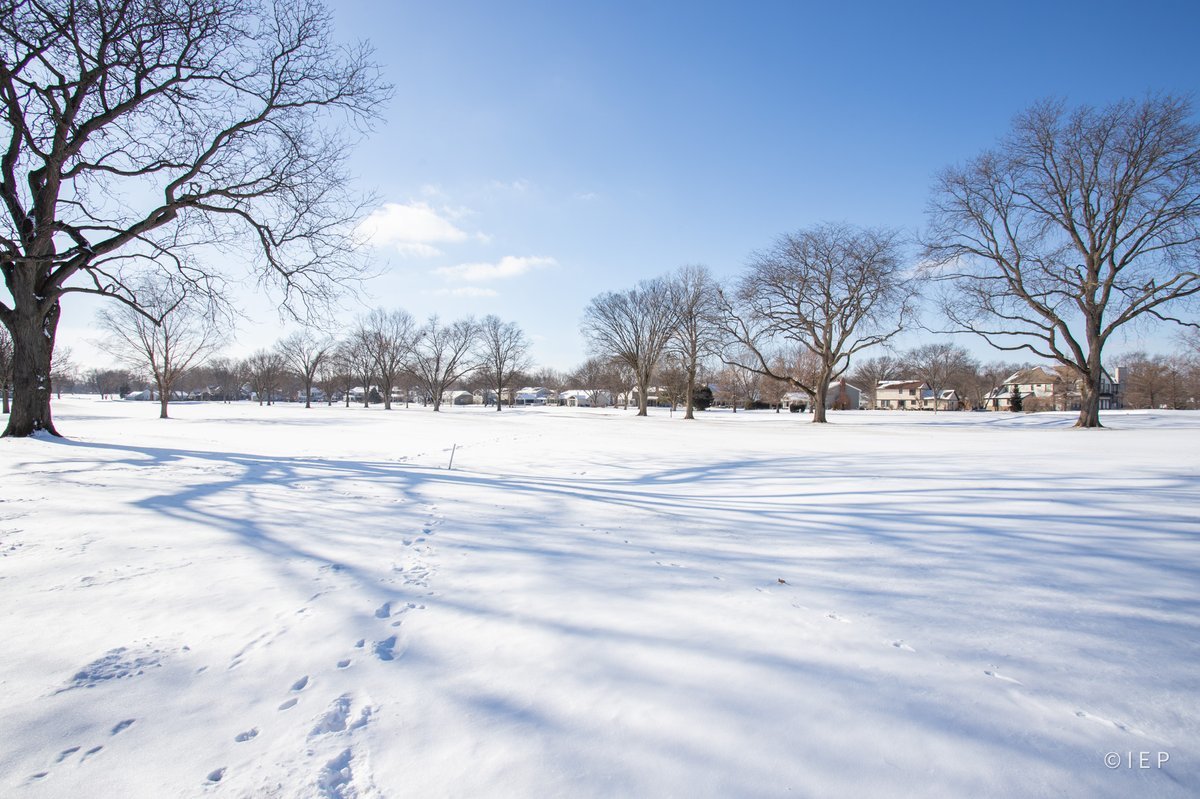 1133 Royal Saint George Drive #105, Naperville, IL 60563