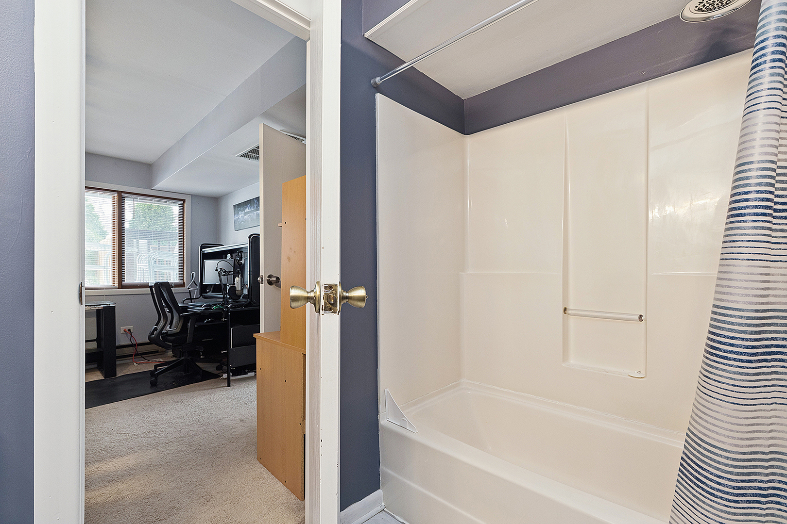 17565 Windsor Parkway, Tinley Park, IL 60487