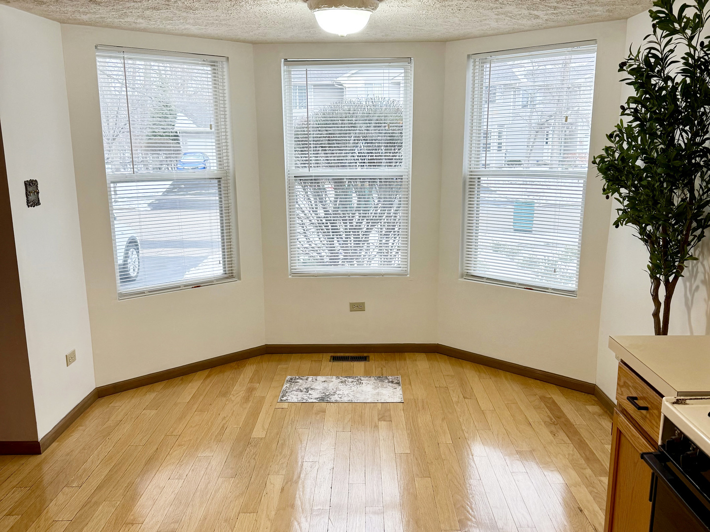 4208 Whitetail Court, Joliet, IL 60431